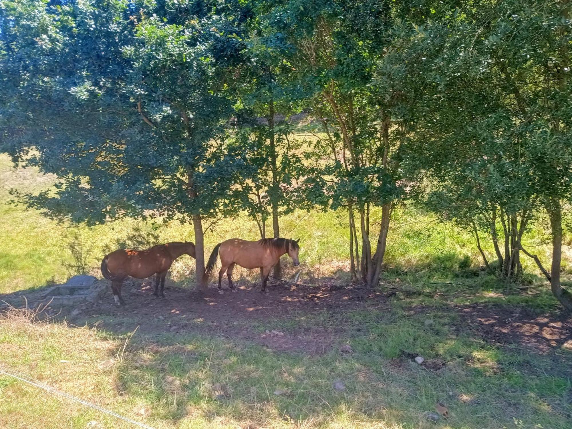 גראדו Casa Rural Tulia מראה חיצוני תמונה